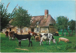 France > Régions > Autres > La Normandie / Chaumière Normande - Sonstige