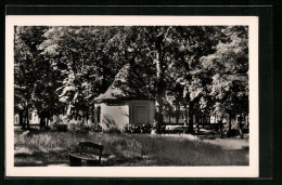 AK Demmin, Marienhain - Demmin
