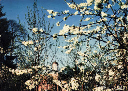 BELGIQUE - Chevetogne - Monastère - Eglise Orientale - Dôme - Printemps - Nels - 50e Salon 2F50 - Carte Postale - Ciney
