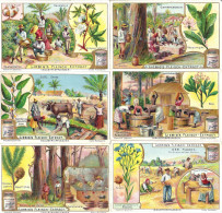 S0707 - Lot 6 Chromos LIEBIG - Industriepflanzen - Liebig
