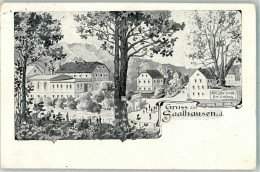 13569928 - Saalhausen , NL - Grossräschen