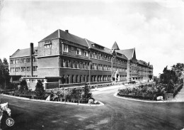 BELGIQUE - Ciney - Mont De La Salle - Frères Des Ecoles Chrétiennes - Allée - Jardin - Nels - Carte Postale - Ciney