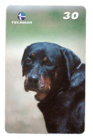 Chien Policier Militaire  Dog  Télécarte Brésil Phonecard ( 1146) - Army