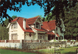 BELGIQUE - Chevetogne - Domaine Provincial - Valéry Cousin - Jardin - Terrasse - Verdure - Nels - Carte Postale - Ciney