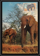 49203 N°340 éléphant 1965 Cameroun Carte Maximum (card) - Elephants