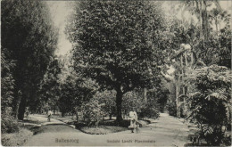 Delcampe - CPA INDONESIA Buitenzorg. Gezicht Lands Plantentuin (342200) - Indonesien