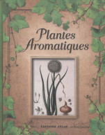 Plantes Aromatiques (2013) De Nathalie Bucsek - Jardinage