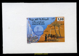 Delcampe - 219052 MNH MARRUECOS 1978 PROMOCION DEL SAHARA - Non Classés