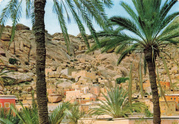MAROC - Tafraout - Maisons Traditionnelles - Maroc Pittoresque - Versant Rocheux - Désert - Palmiers - Carte Postale - Verzamelingen & Kavels