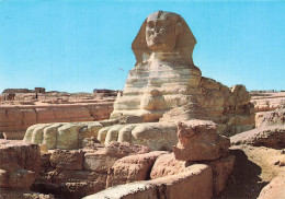 EGYPTE - Giza -Sphinx - Sculpture - Corps De Lion - Tête Du Pharaon - Ruines - Érosion Naturel - Animé - Carte Postale - Gizeh