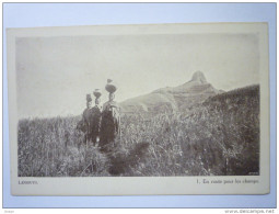 LESSOUTO  :  En Route Pour Les Champs - Lesotho