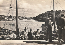 Delcampe - Vue Prise Du Port De Tréboul - Douarnenez