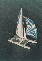 Delcampe - La Rochelle Le Catamaran Charente Maritime - Segelboote