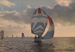 Delcampe - Les Beaux Voiliers Le Billou Bell En Régate Par Vent Arrière - Segelboote