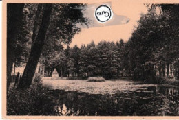 Delcampe - St Hubert La Fontaine Et Le Parc - Saint-Hubert