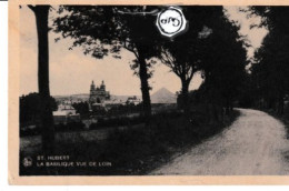 Delcampe - St Hubert La Basilique Vue De Loin - Saint-Hubert