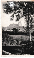 Delcampe - St Hubert Panorama - Saint-Hubert