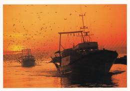 Delcampe - Littoral Méditerranéen Retour Des Chalutiers Au Couchant - Fischerei