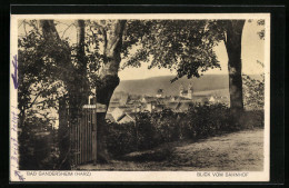 AK Bad Gandersheim /Harz, Blick Vom Bahnhof - Bad Gandersheim