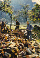 Delcampe - La Coupe Du Bois - Bauernhöfe