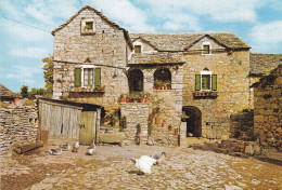 Delcampe - Une Cour De Ferme - Bauernhöfe