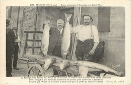 Delcampe - BRIOUDE BEAUX SPECIMENS DE SAUMONS PRIS DANS L'ALLIER BEAU PLAN - Brioude