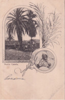 Delcampe - VENEZUELA(PUERTO CABELLO) ARBRE - Venezuela