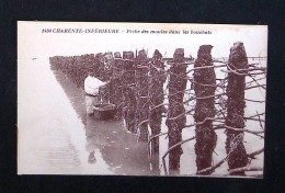Delcampe - Cp, Métiers, Pêche, Pêcheur, 17, Charente Inférieure, Pêche Des Moules Dans Les Bouchots, Vierge, Ed. R. Bergevin - Fischerei