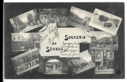 Delcampe - 92  Sevres  -  Vues Multiples - Souvenir - Sevres