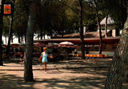 Delcampe - CPM - LERIDA - Parc Municipal De "Les BASSES" ... LOT 2 CP / Edition Escudo De Oro - Lérida