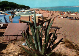 Delcampe - CPM - SALOU - Playa De La Pineda ... (camping) - Edition Arribas - Tarragona