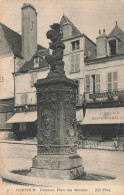 Delcampe - ISSOUDUN : FONTAINE - PLACE DES MARCHES - Issoudun