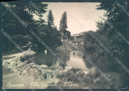 Delcampe - Benevento Villa Comunale Laghetto PIEGHINA Foto FG Cartolina JK1778 - Benevento