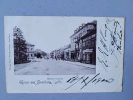 Delcampe - Sarrebourg Rue De La Gare , Carte 1900 - Sarrebourg