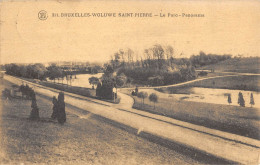 Delcampe - CPA BELGIQUE / BRUXELLES / WOLUWE SAINT PIERRE / LE PARC / PANORAMA - Woluwe-St-Pierre - St-Pieters-Woluwe