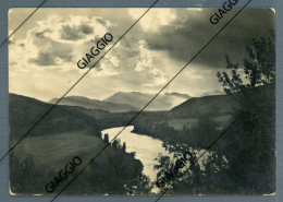Delcampe - °°° Cartolina N. 204 - Ripalimosani Veduta Viaggiata °°° - Campobasso