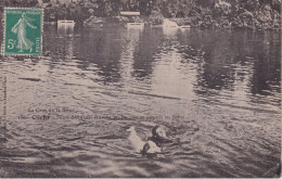 Delcampe - CLICHY(CHIEN) SAINT BERNARD(SAUVETAGE) - Clichy