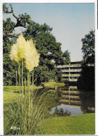 Delcampe - CP VAIRES SUR MARNE, PARC DE L'AULNAY, SEINE ET MARNE 77 - Vaires Sur Marne