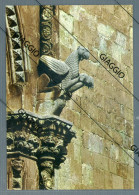Delcampe - °°° Cartolina N. 209 - Larino Cattedrale Di S. Paolo Portale - Particolare Nuova °°° - Campobasso