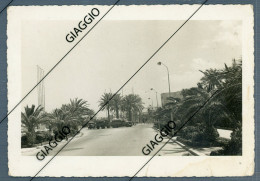 Delcampe - °°° Cartolina/foto N. 212 - Canpobasso Nuova °°° - Campobasso