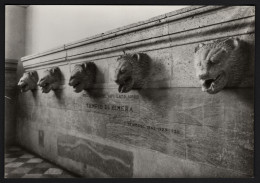 Delcampe - Palermo - Lion Heads From The Temple Of Himera At The National Museum (1950s) - Palermo