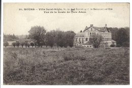 Delcampe - 95 Mours -   Villa Saint Regis -   Vue De Laroute De L'isle Adam - Mours