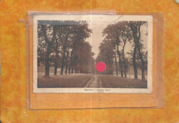 Delcampe - 6-2025 -VER49/12 - PAS DE CALAIS - 62 - DESVRES - Allée Du Château Du Désert - Desvres