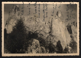 Delcampe - Dolomites - Pale Di San Martino Group - Punta Agnèr (1950s) - Belluno