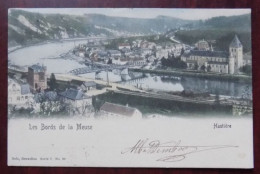 Delcampe - Cpa Hastiere ; Les Bords De La Meuse 1904 Colorisée - Hastière