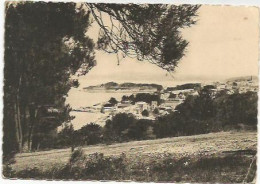 Delcampe - CPSM Douarnenez  Les Sables Blancs - Douarnenez