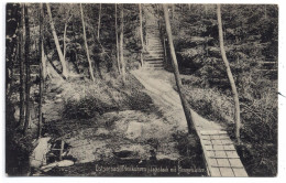 Delcampe - OSTPREUSSEN - NEUKUHREN / PIONERSKI, Lachsbach Mit Himmelsleiter, 1911, Verlag Schaar & Dathe - Trier - Ostpreussen