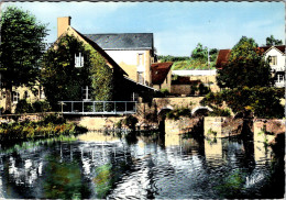 Delcampe - Cpm -  Chatillon Coligny - Le Moulin De La Fosse     L527 - Chatillon Coligny