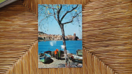 Delcampe - Collioure , Barques Et Clocher - Collioure