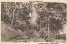 Delcampe - CPA Chevreuse Chateau De La Madeleine - Chevreuse